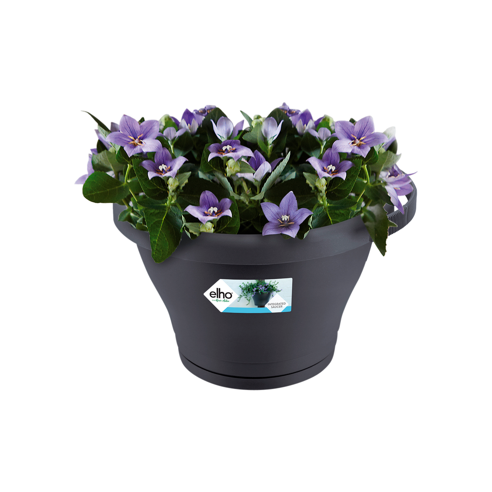 Corsica Pot Gouttière 24