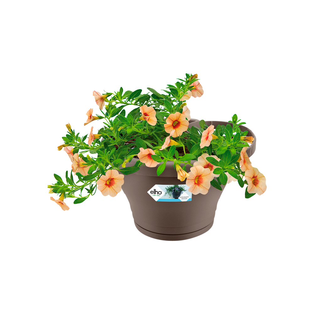 Corsica Pot Gouttière 24