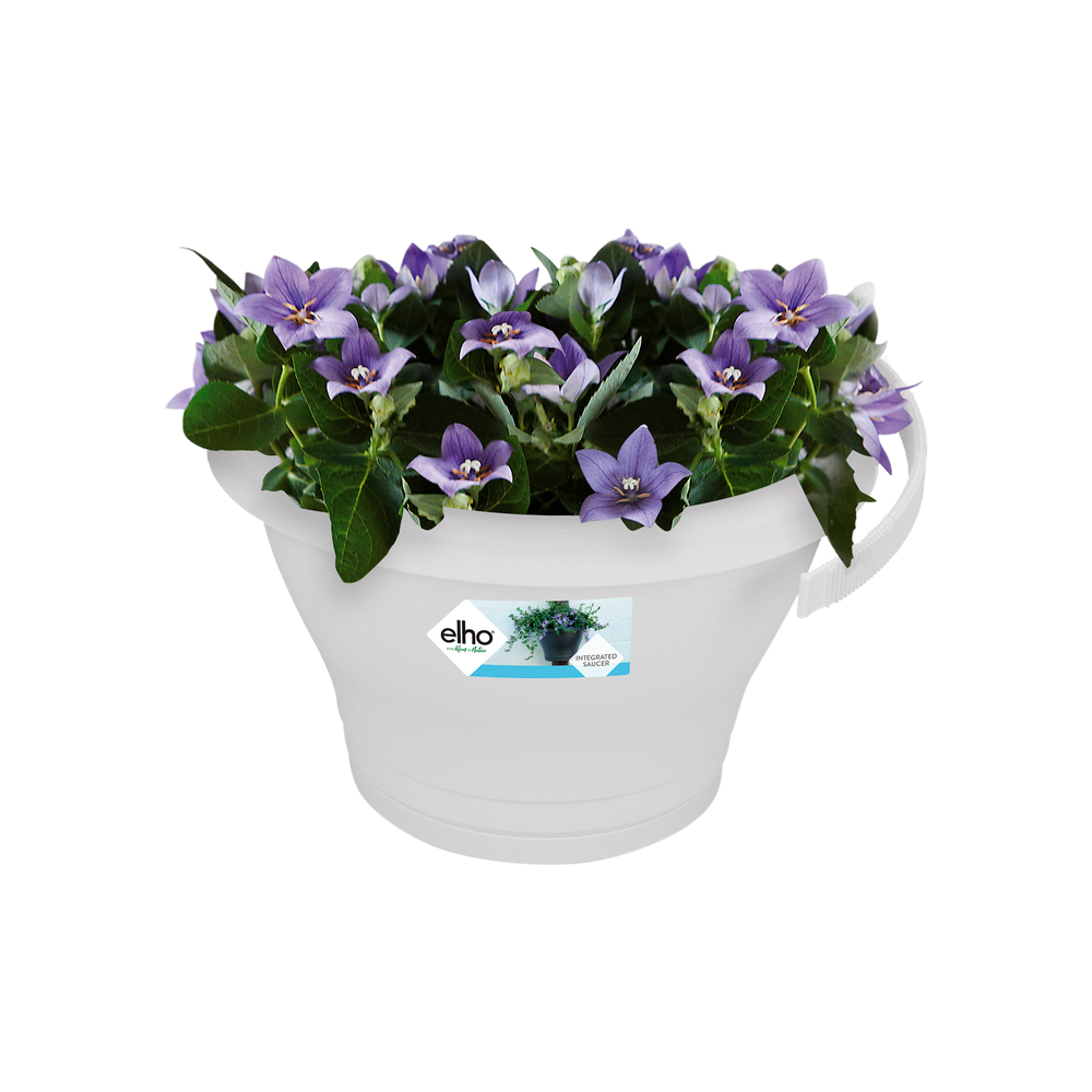 Corsica Pot Gouttière 24