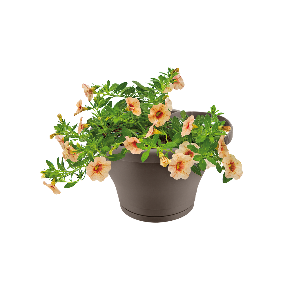 Corsica Pot Gouttière 24