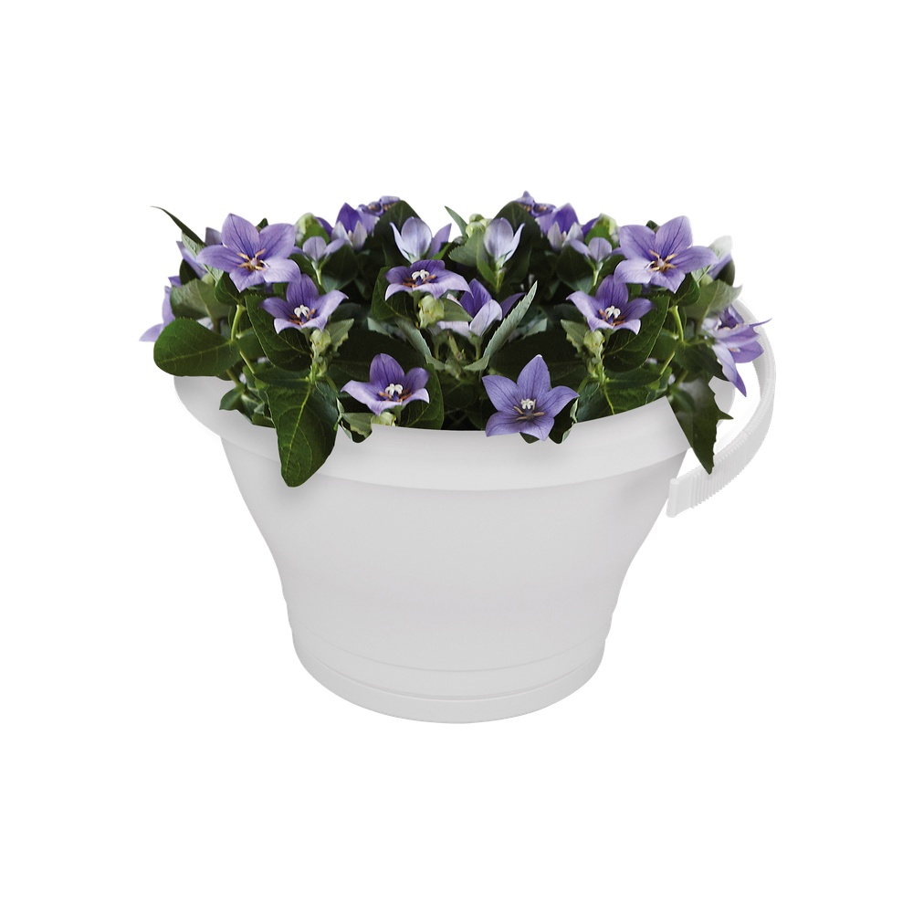 Corsica Pot Gouttière 24