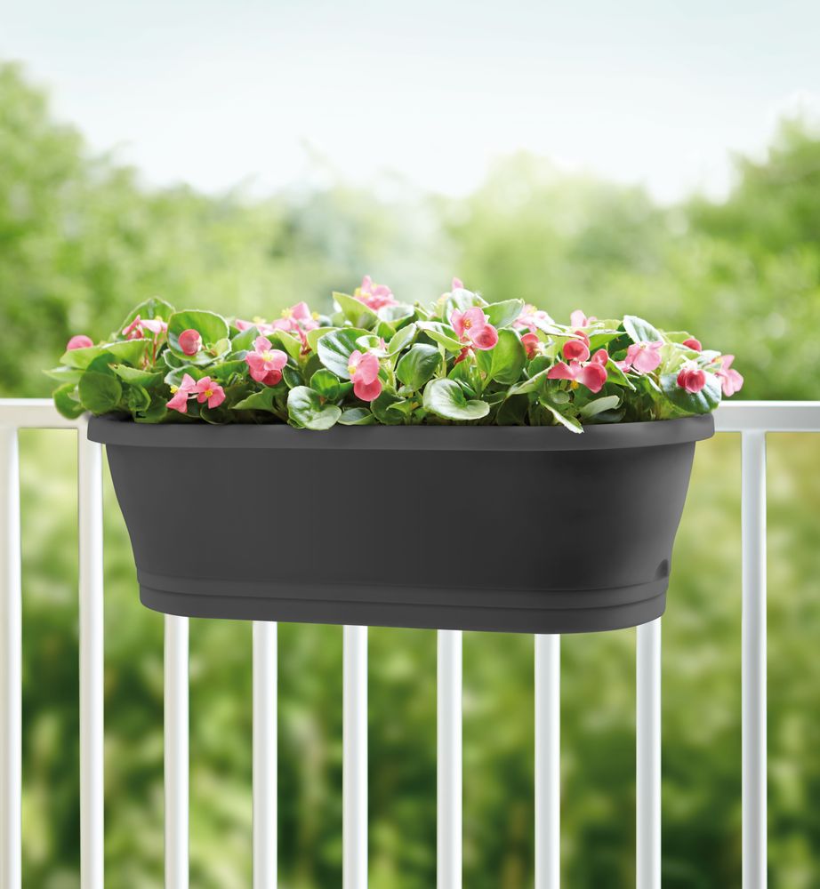 Corsica Easy Balconnière 60