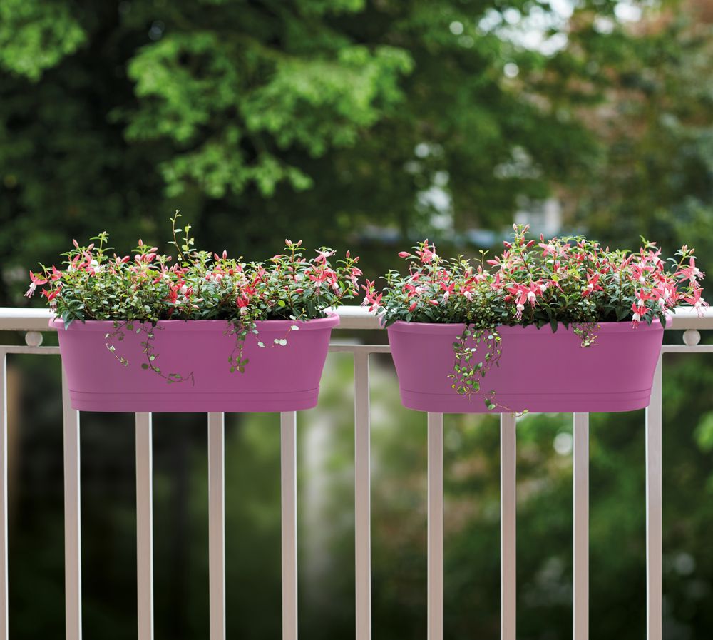 Corsica Easy Balconnière 60