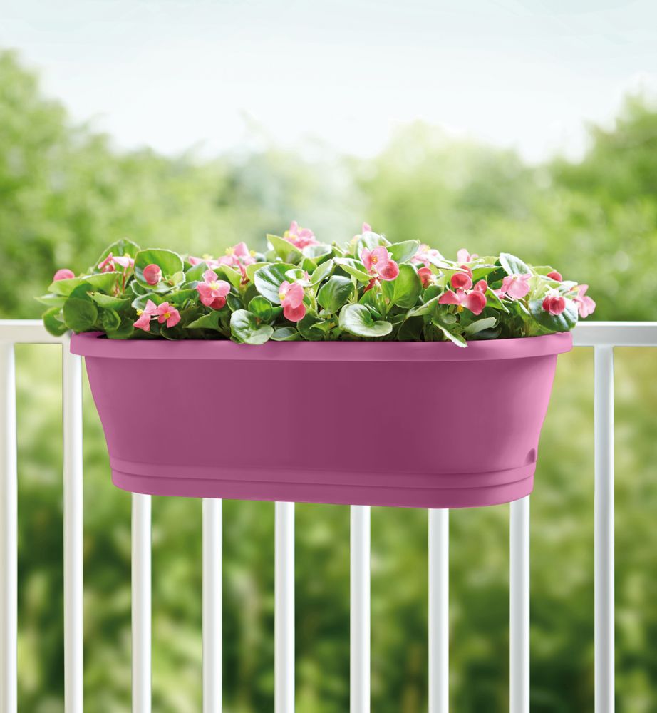 Corsica Easy Balconnière 60