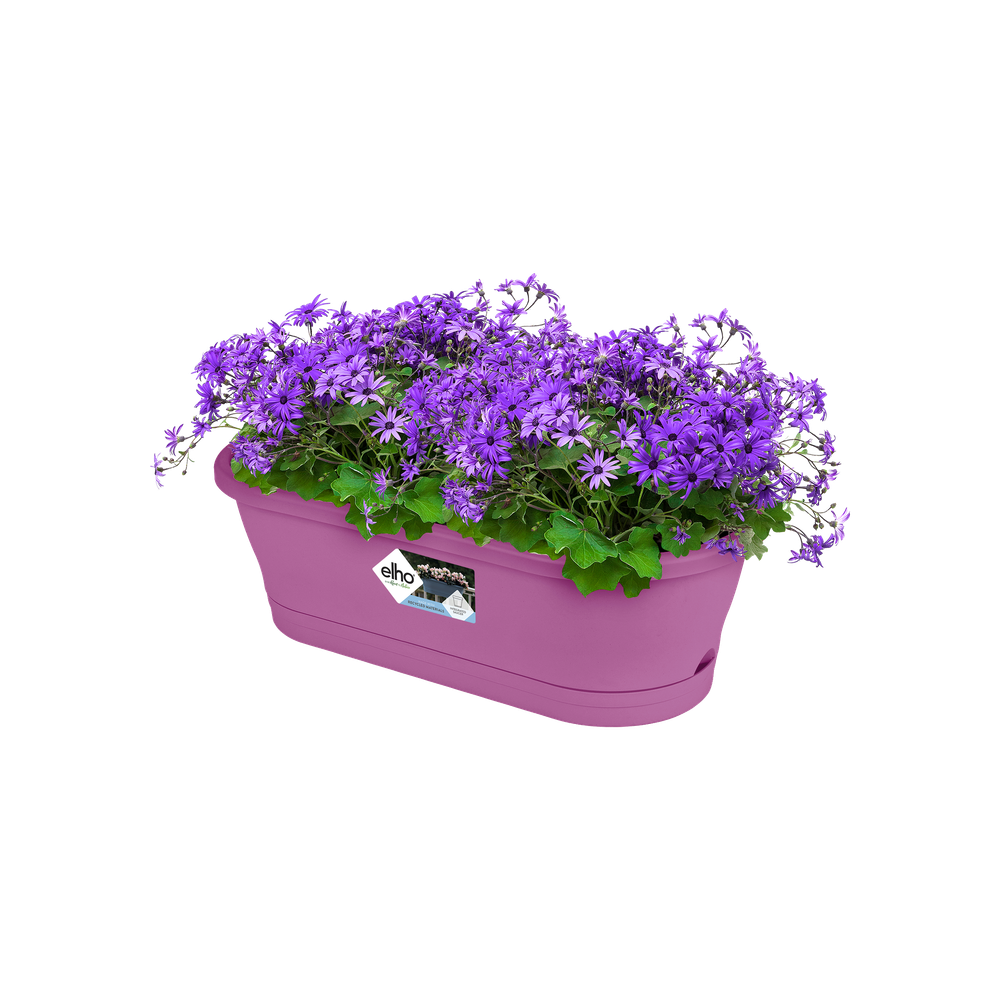 Corsica Easy Balconnière 60