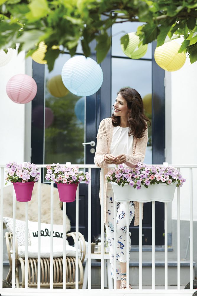 Corsica Facile À Accrocher Simple 20