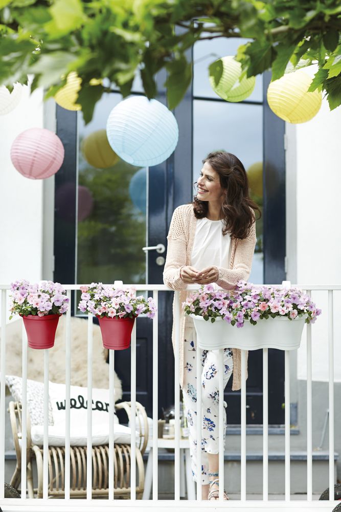 Corsica Facile À Accrocher Simple 20