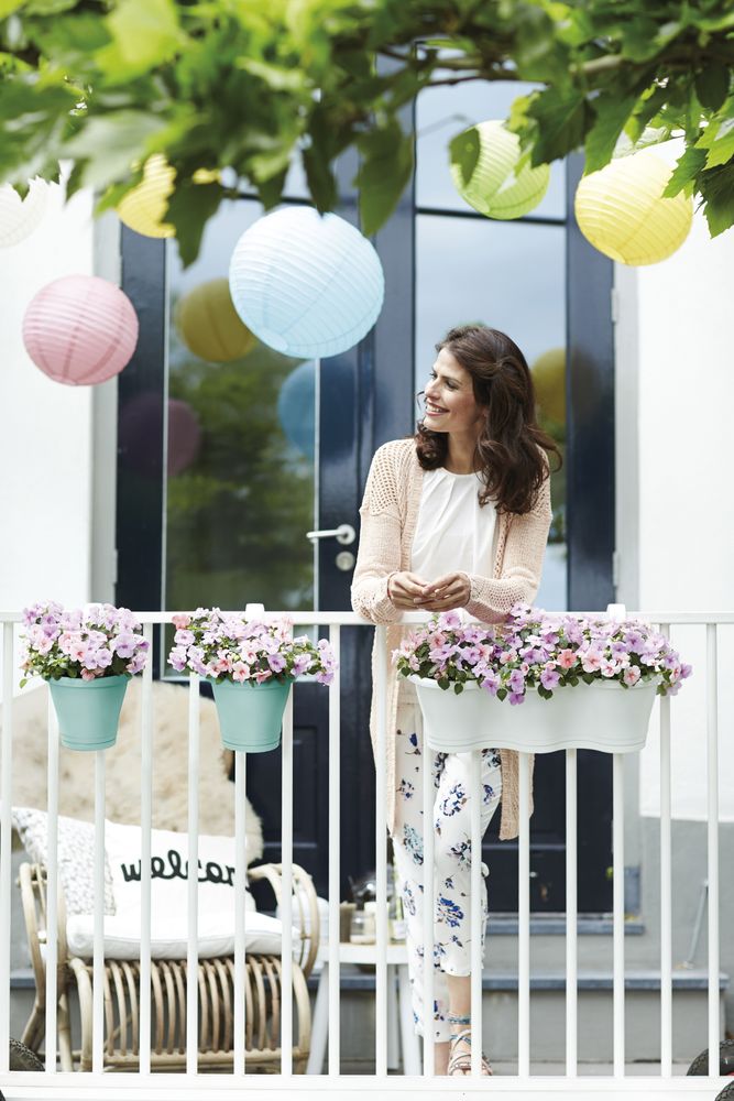 Corsica Facile À Accrocher Simple 20