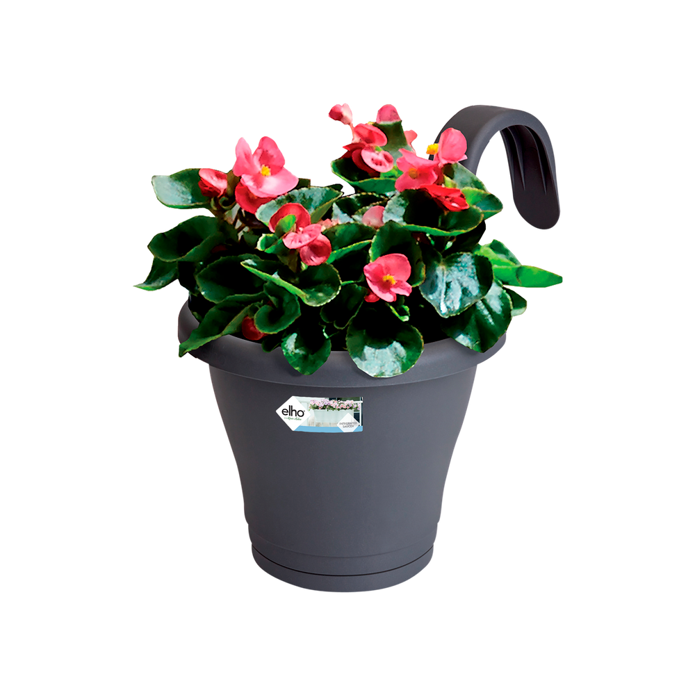 Corsica Facile À Accrocher Simple 20