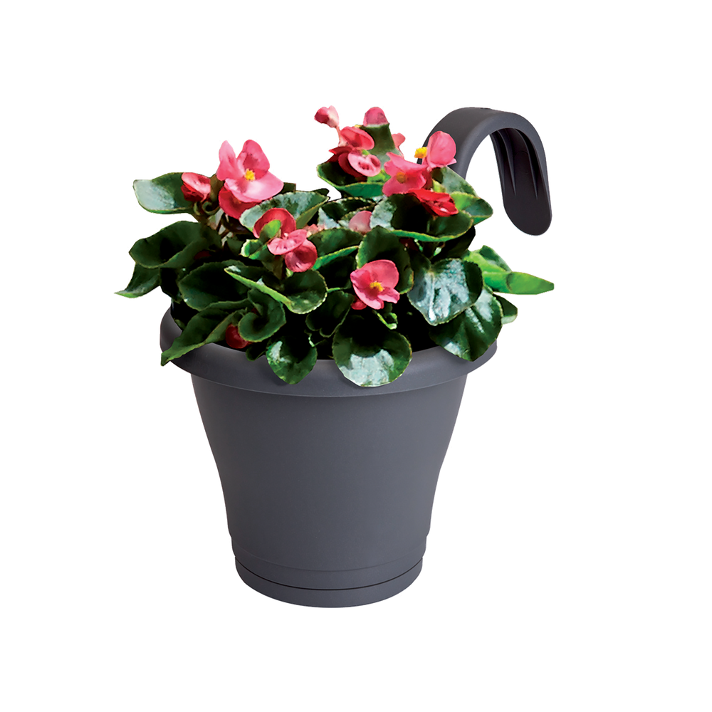 Corsica Facile À Accrocher Simple 20