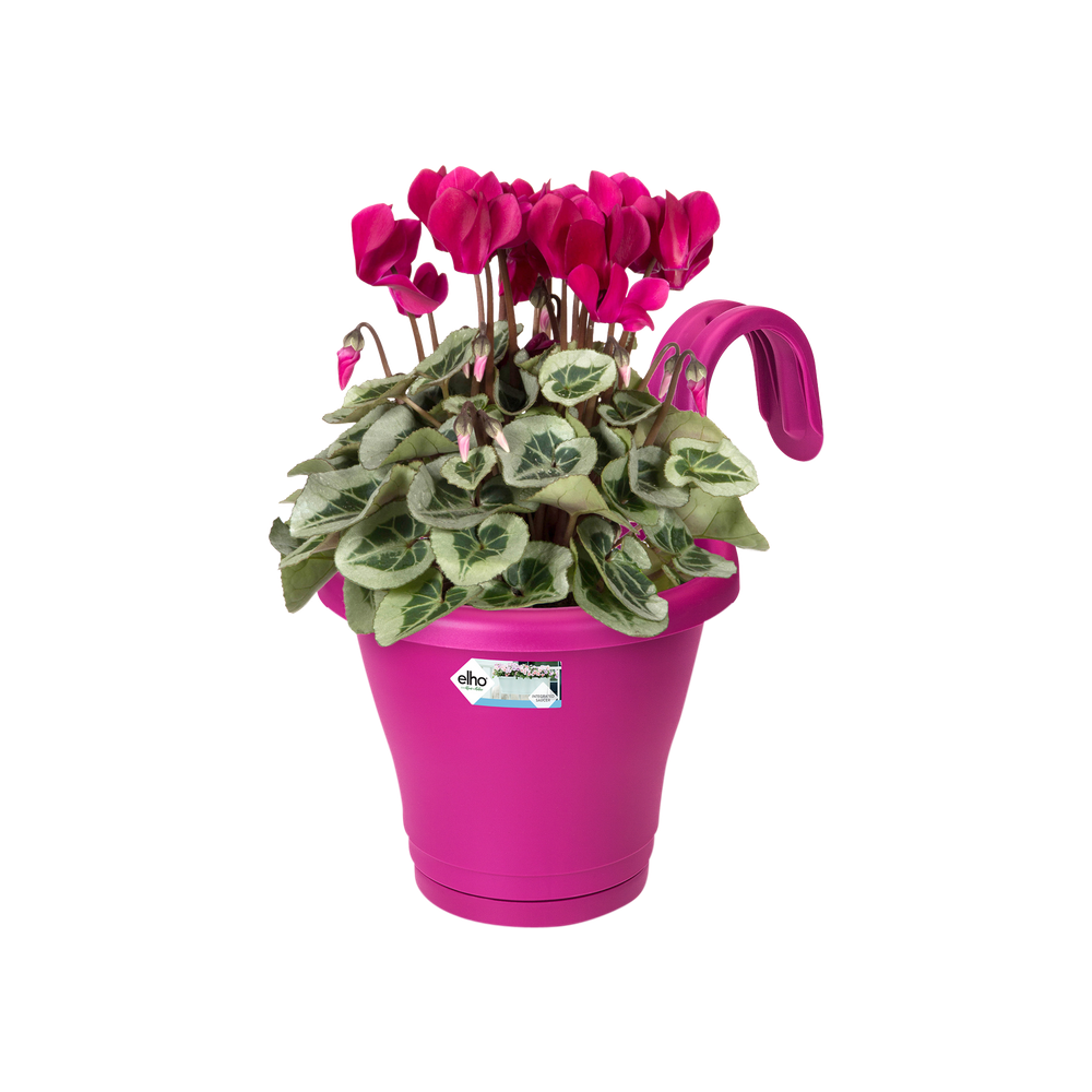 Corsica Facile À Accrocher Simple 20