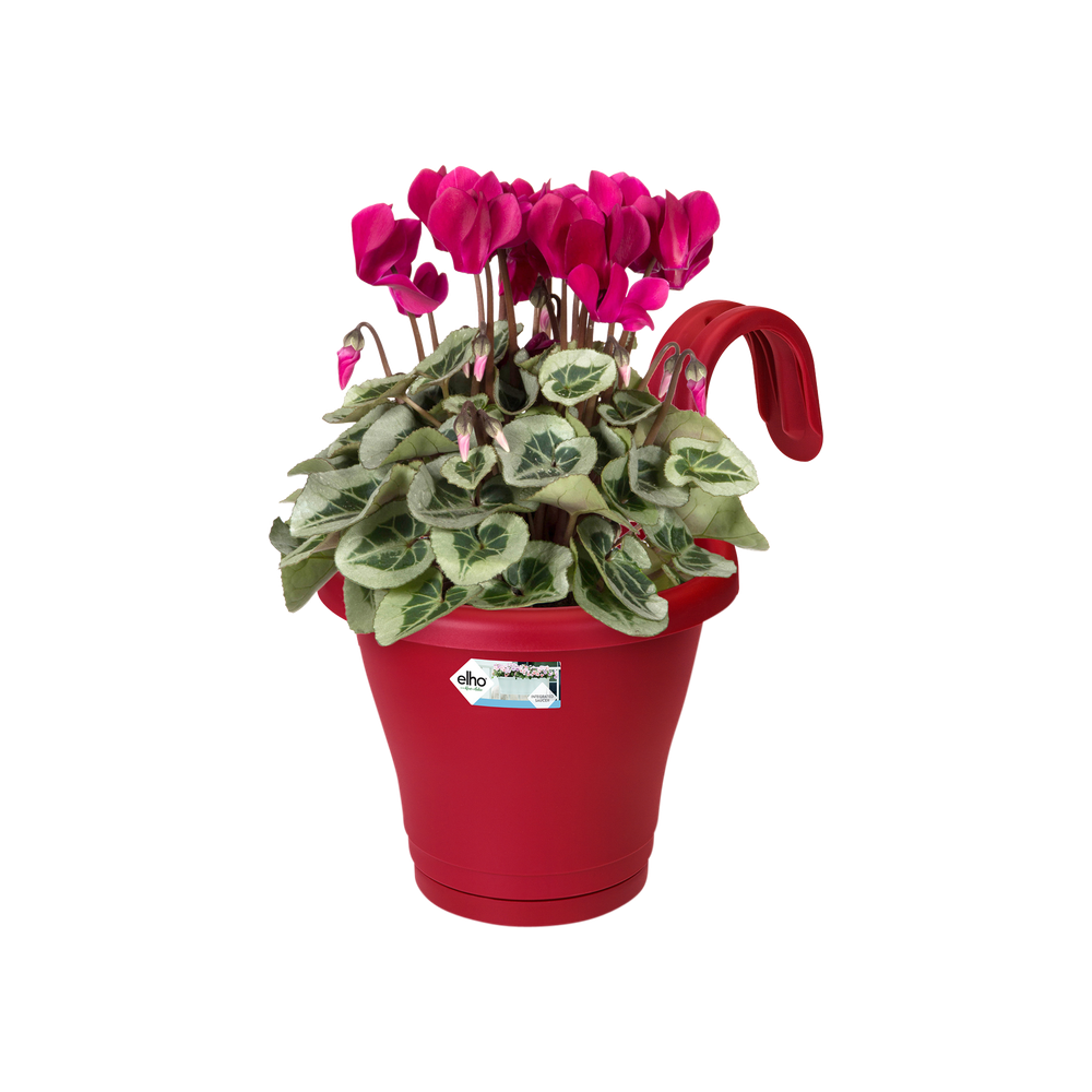 Corsica Facile À Accrocher Simple 20