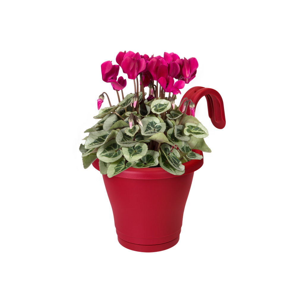 Corsica Facile À Accrocher Simple 20