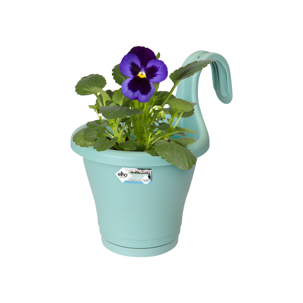 Corsica Facile À Accrocher Simple 20