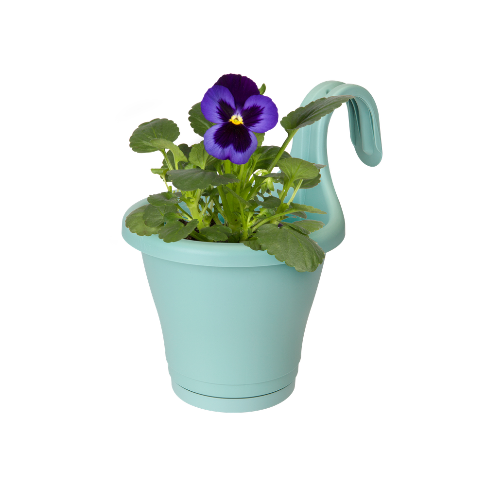 Corsica Facile À Accrocher Simple 20