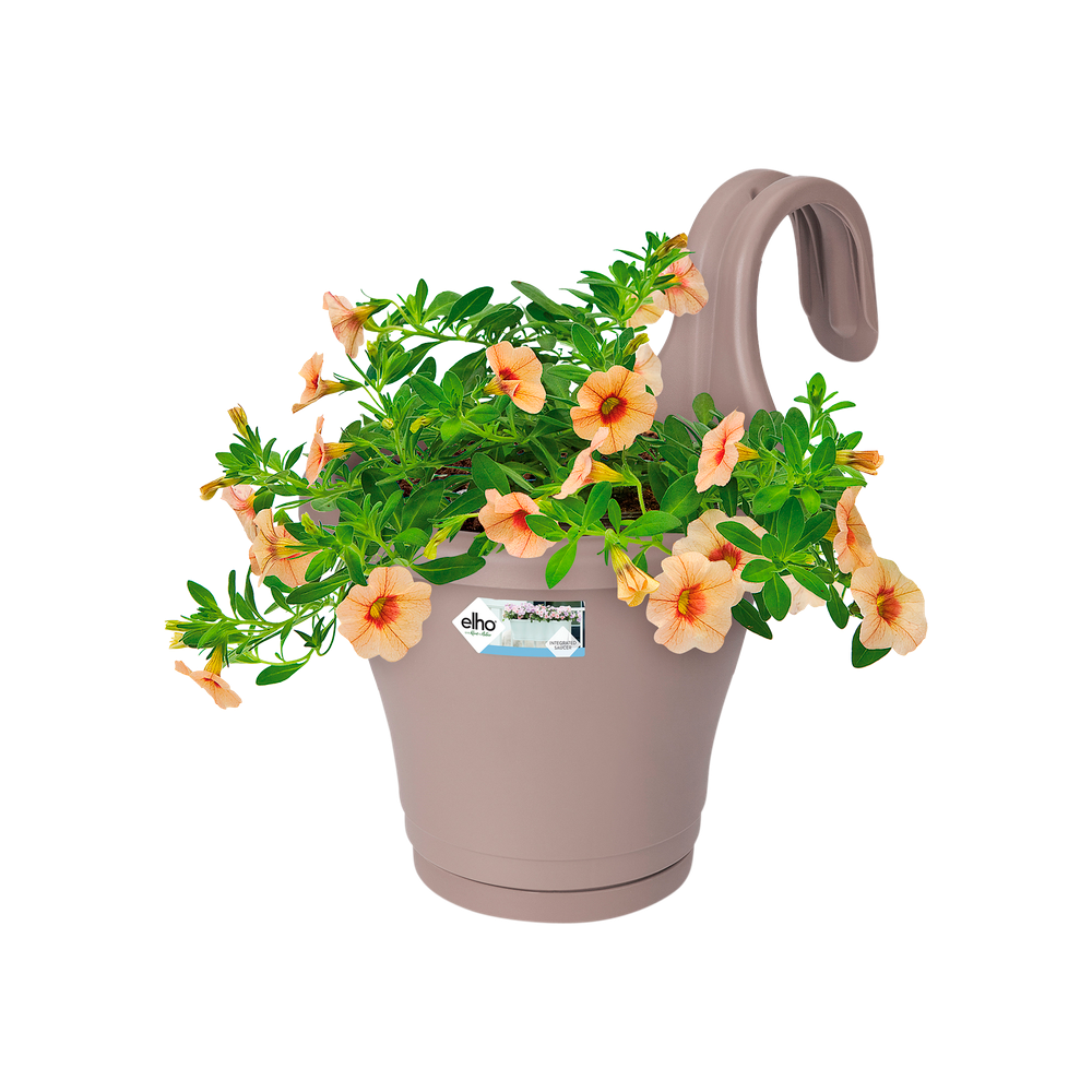 Corsica Facile À Accrocher Simple 20