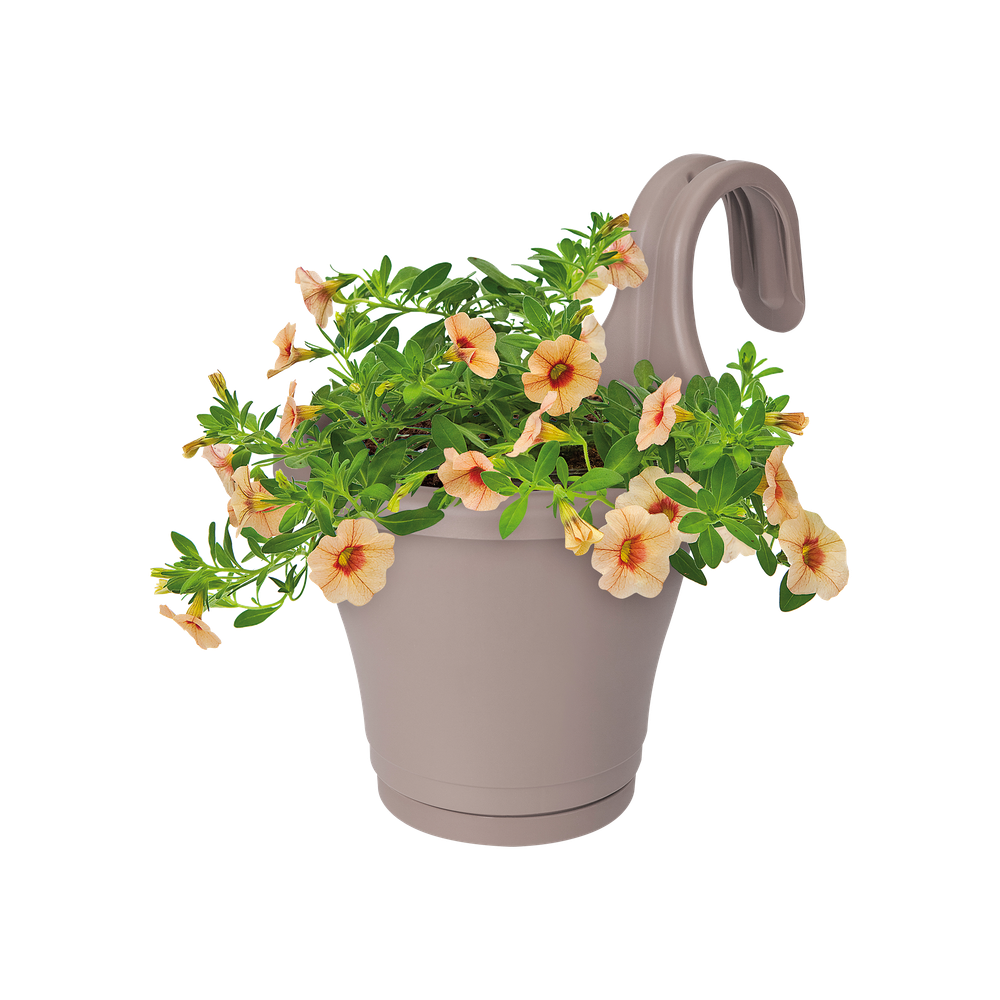 Corsica Facile À Accrocher Simple 20