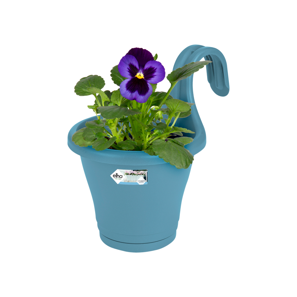 Corsica Facile À Accrocher Simple 20