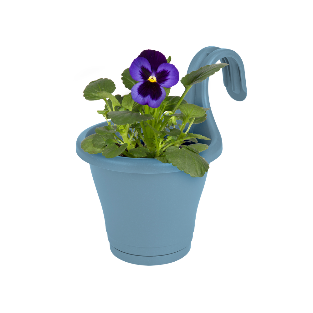 Corsica Facile À Accrocher Simple 20