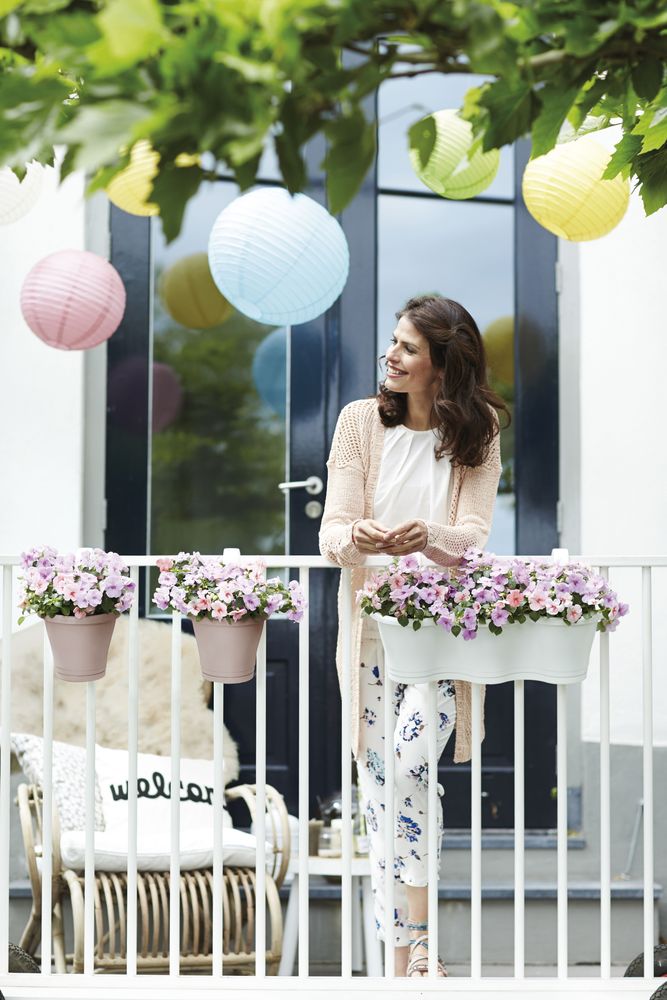 Corsica Facile À Accrocher Simple 20