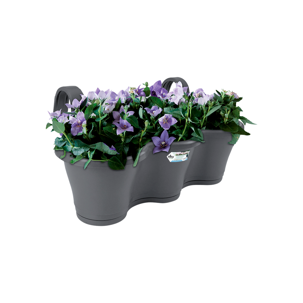 Corsica Facile À Accrocher Triple 52