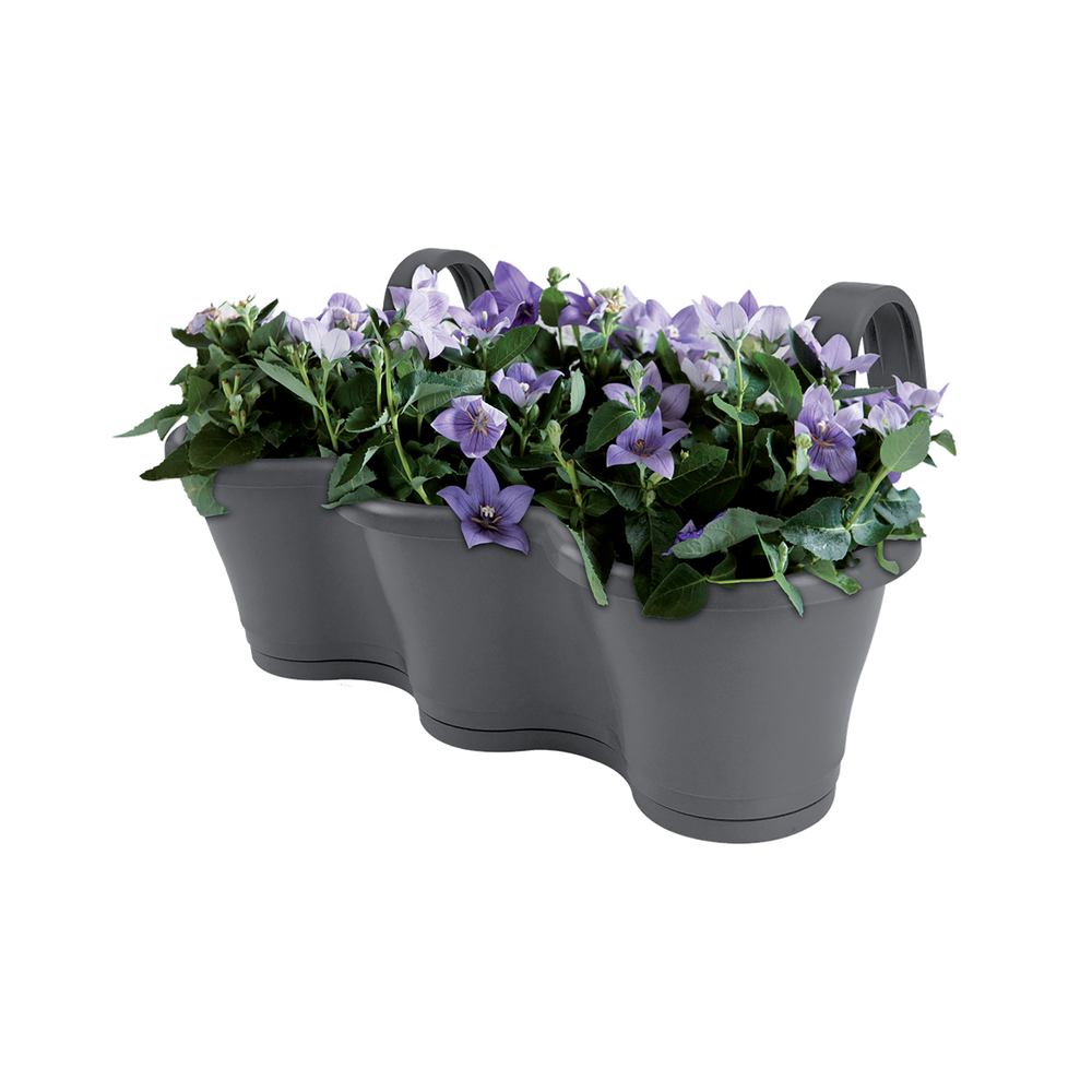 Corsica Facile À Accrocher Triple 52