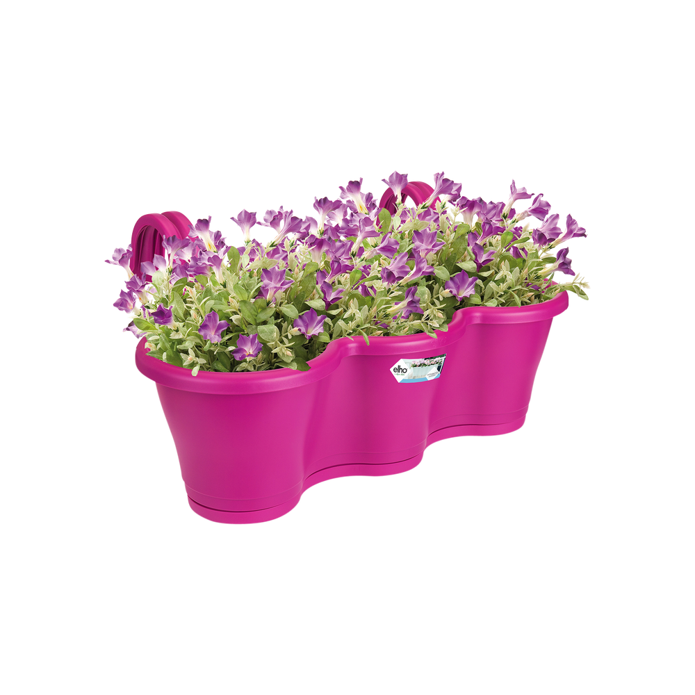 Corsica Facile À Accrocher Triple 52