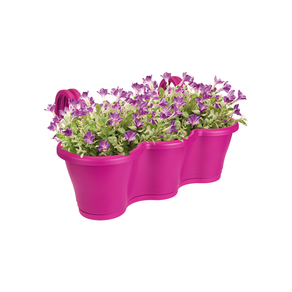 Corsica Facile À Accrocher Triple 52