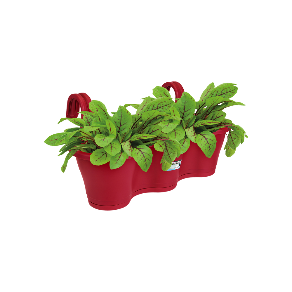 Corsica Facile À Accrocher Triple 52