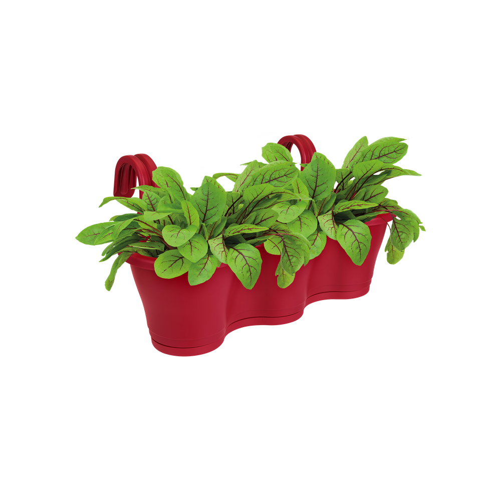 Corsica Facile À Accrocher Triple 52