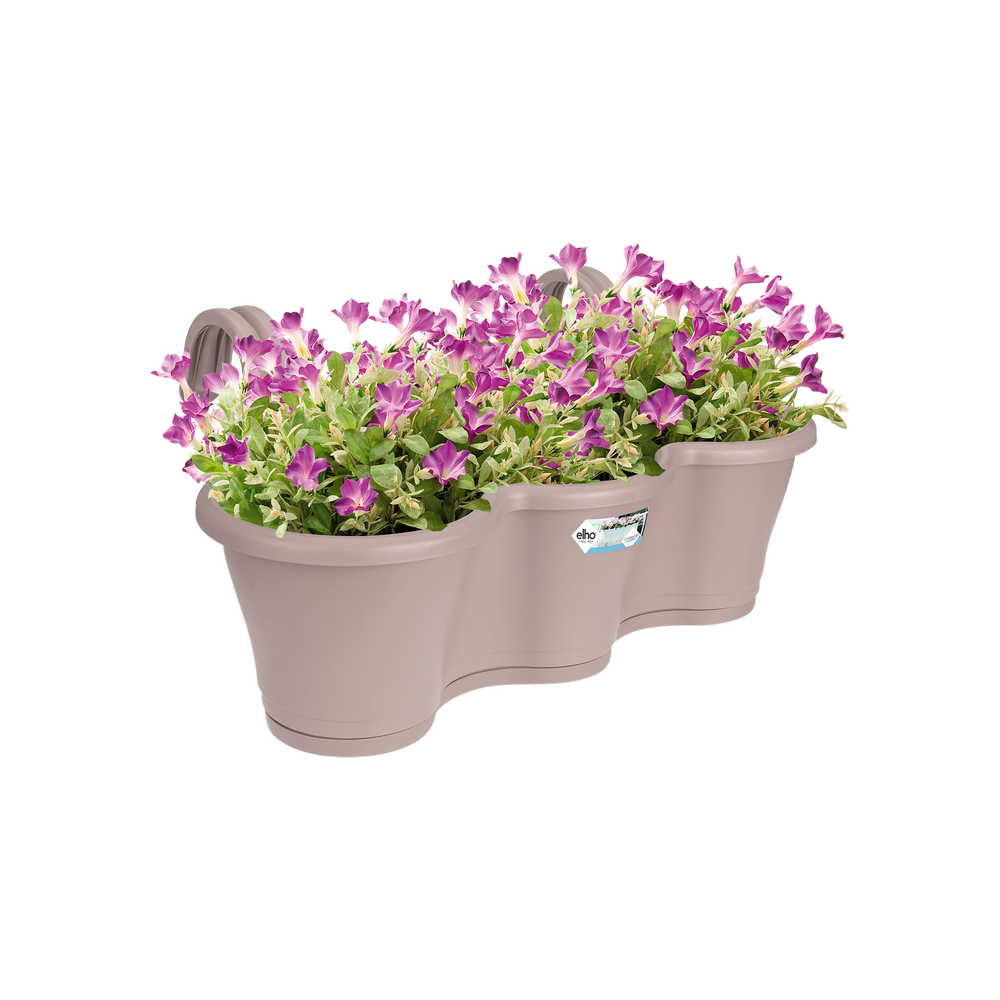 Corsica Facile À Accrocher Triple 52