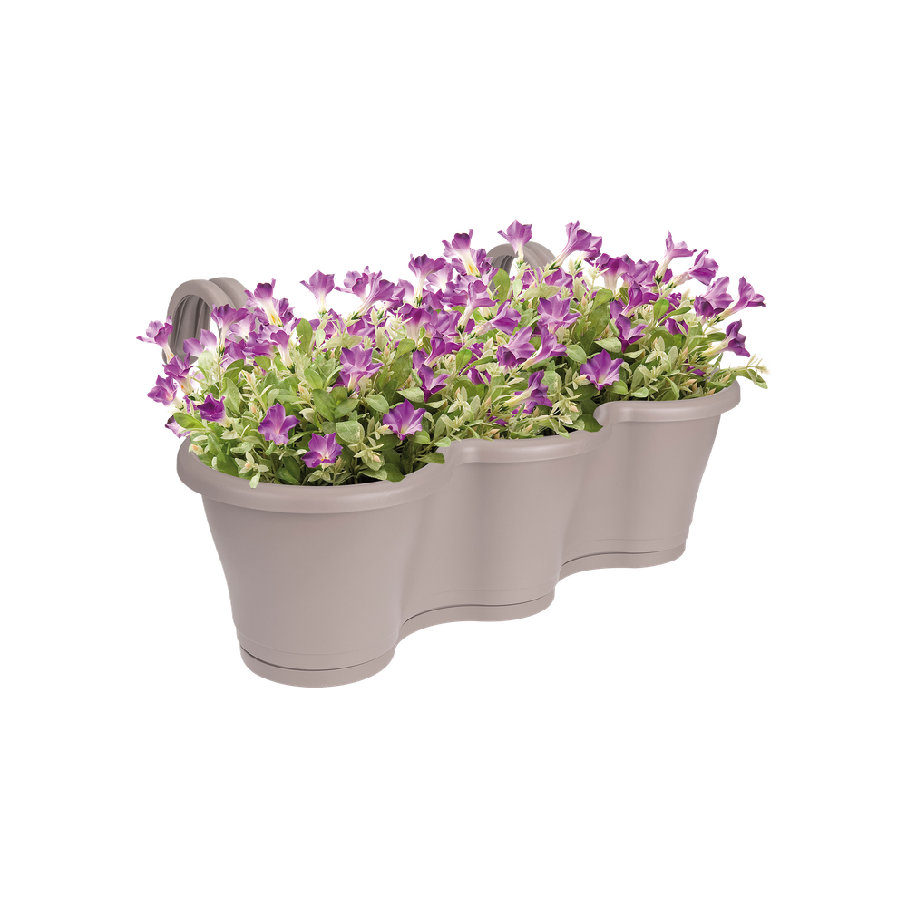 Corsica Facile À Accrocher Triple 52