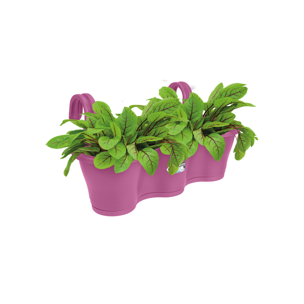 Corsica Facile À Accrocher Triple 52