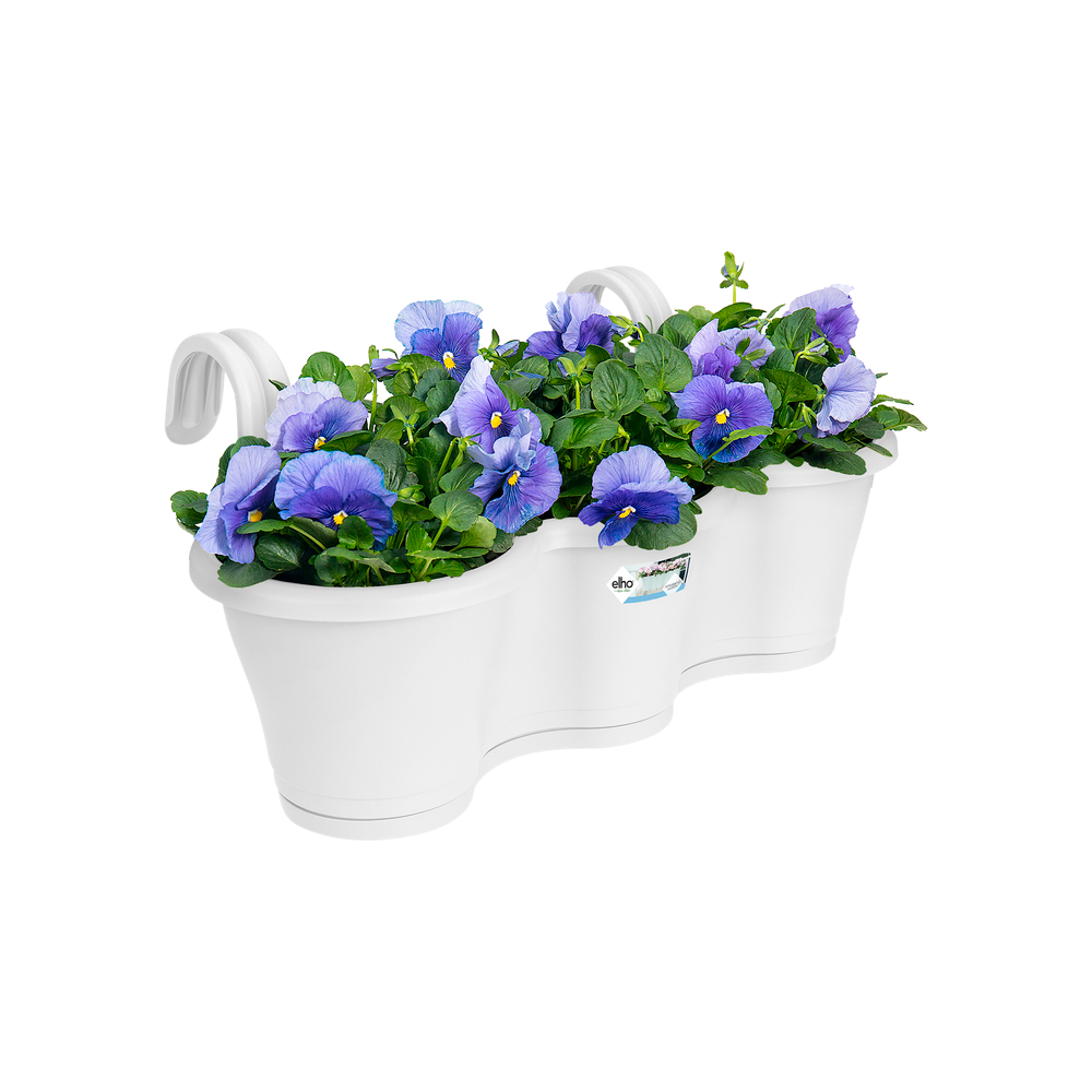 Corsica Facile À Accrocher Triple 52