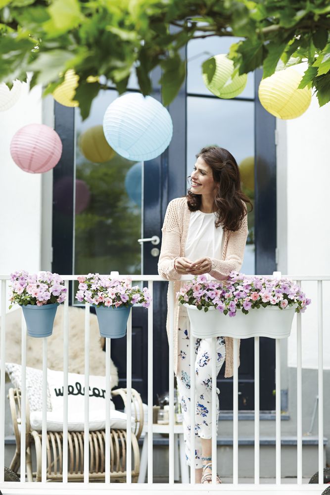 Corsica Facile À Accrocher Simple 20