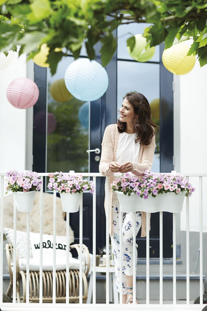 Corsica Facile À Accrocher Simple 20