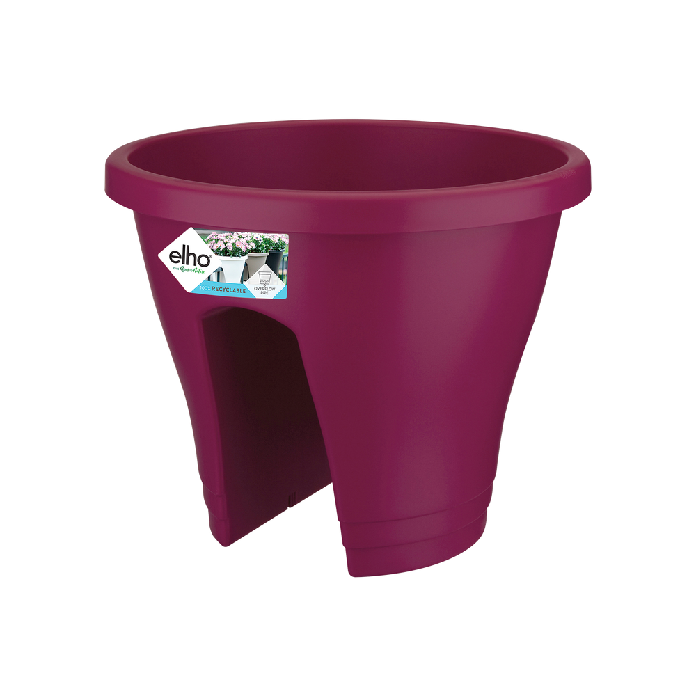 Corsica Flower Bridge 30