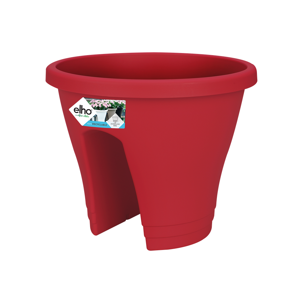 Corsica Flower Bridge 30