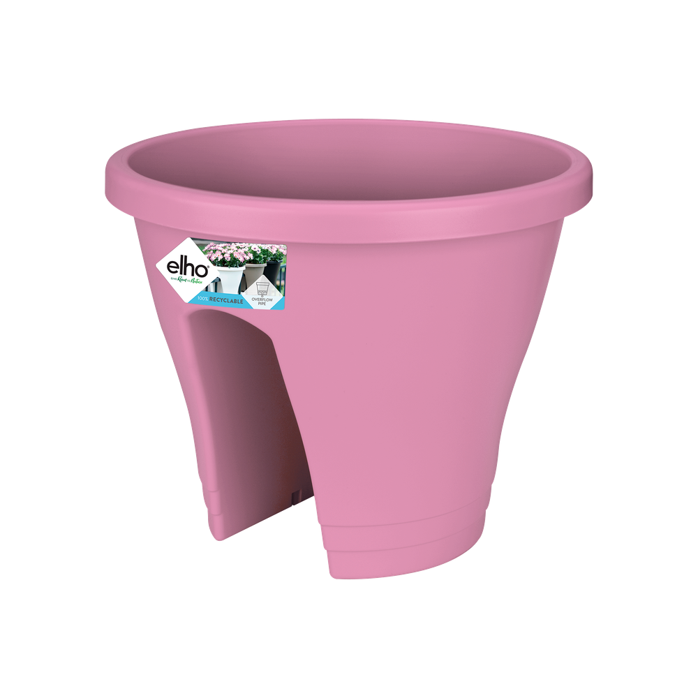 Corsica Flower Bridge 30