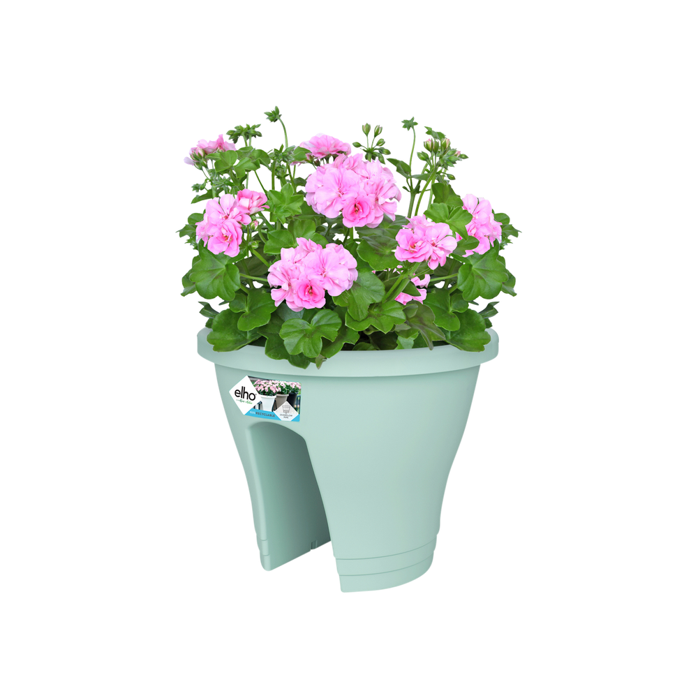 Corsica Flower Bridge 30