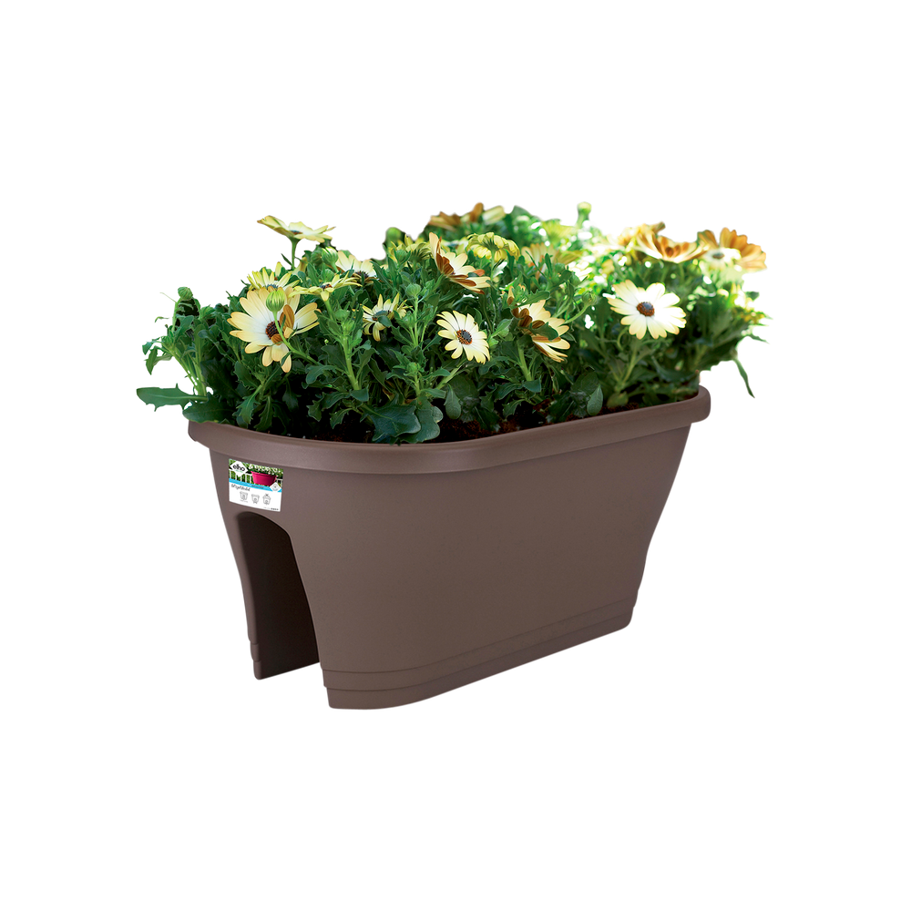 Corsica Flower Bridge 60