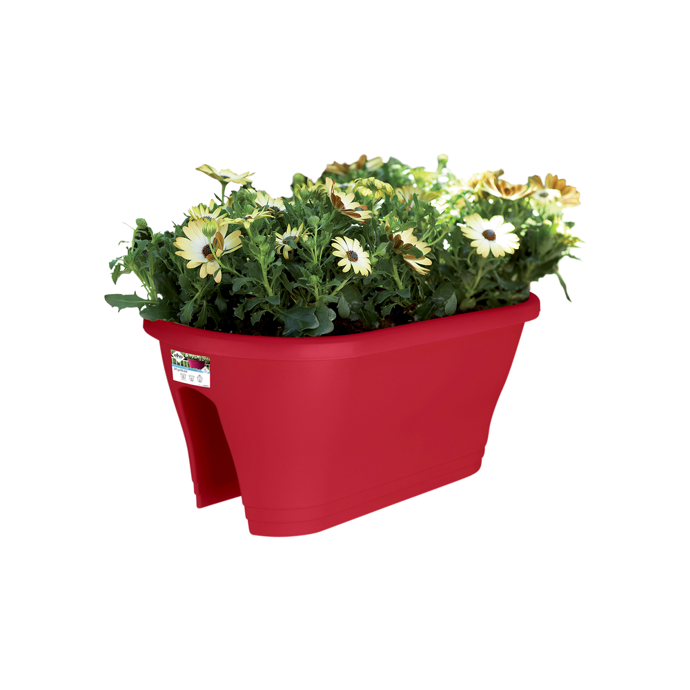 Corsica Flower Bridge 60