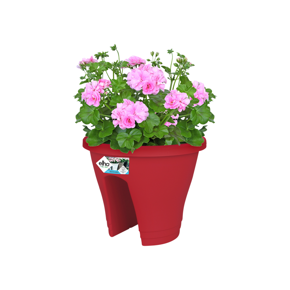 Corsica Flower Bridge 30