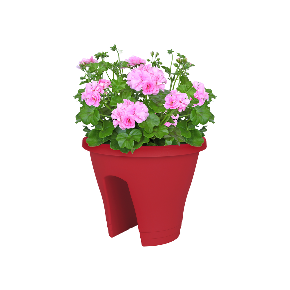 Corsica Flower Bridge 30