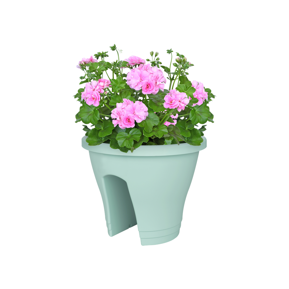 Corsica Flower Bridge 30