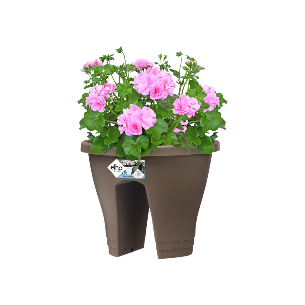 Corsica Flower Bridge 30