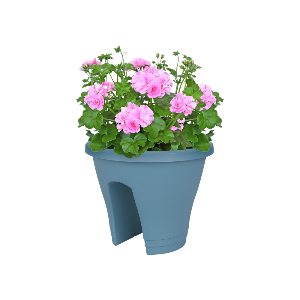 Corsica Flower Bridge 30