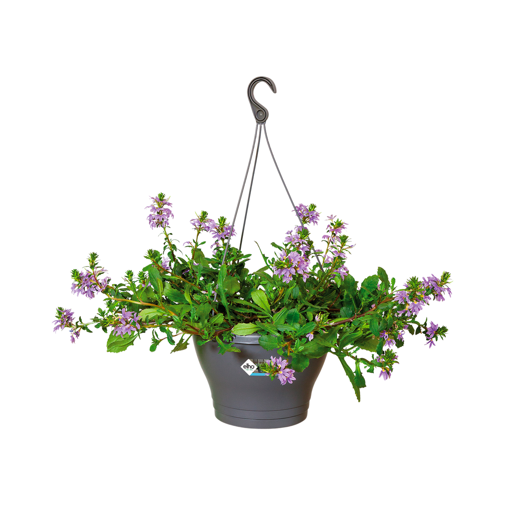 Corsica Suspension 30