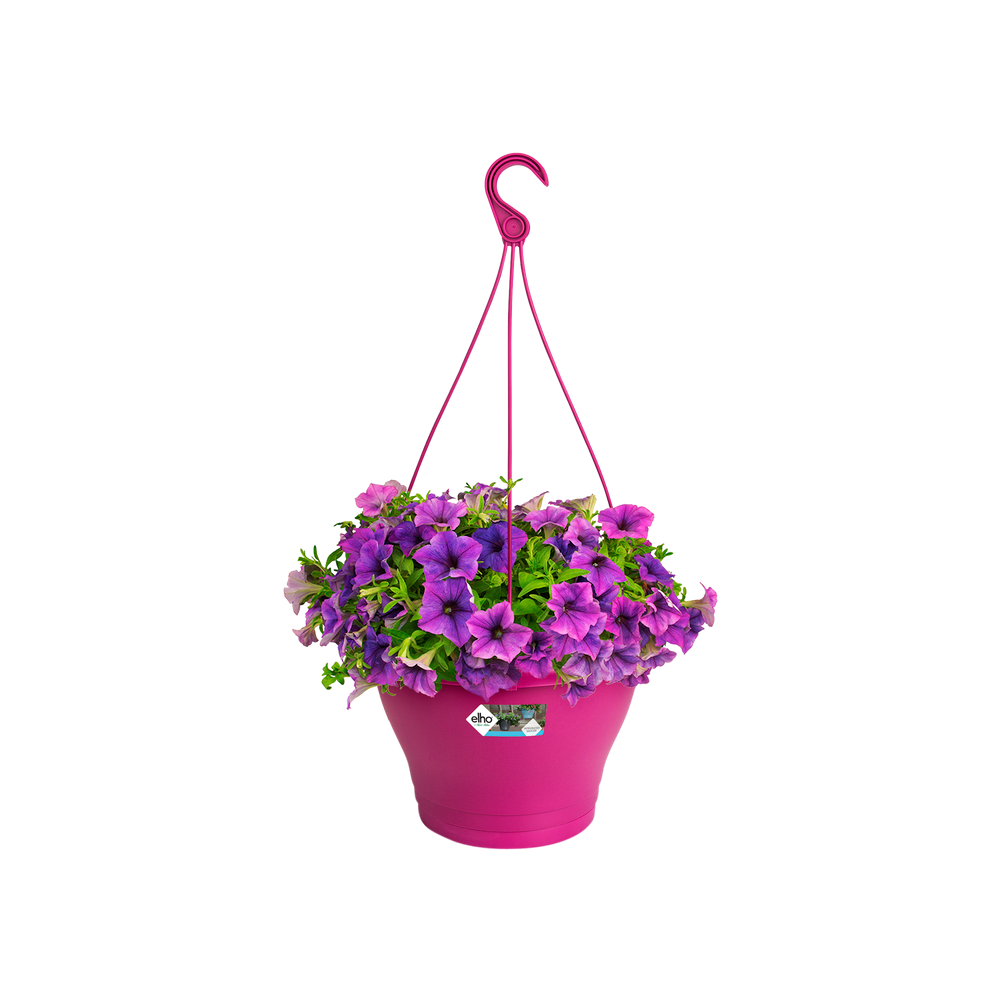 Corsica Suspension 30