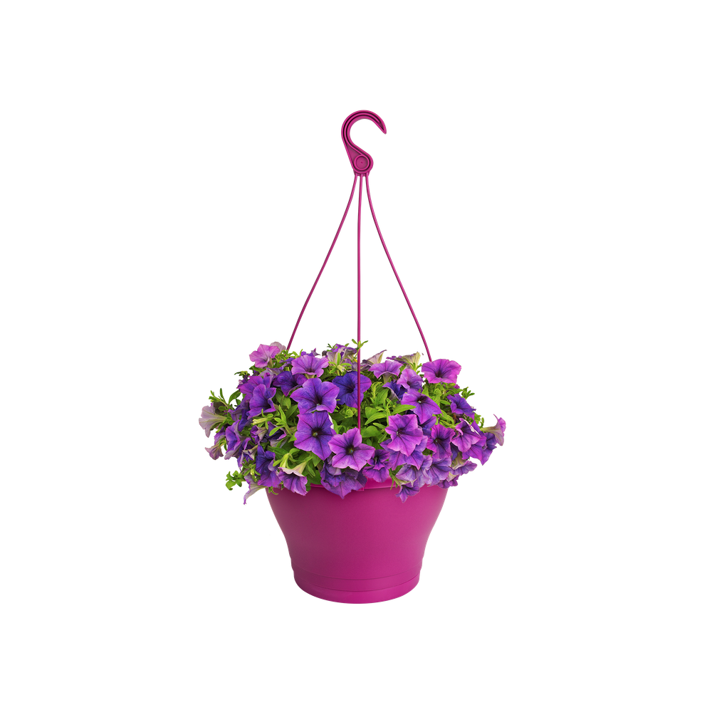 Corsica Suspension 30